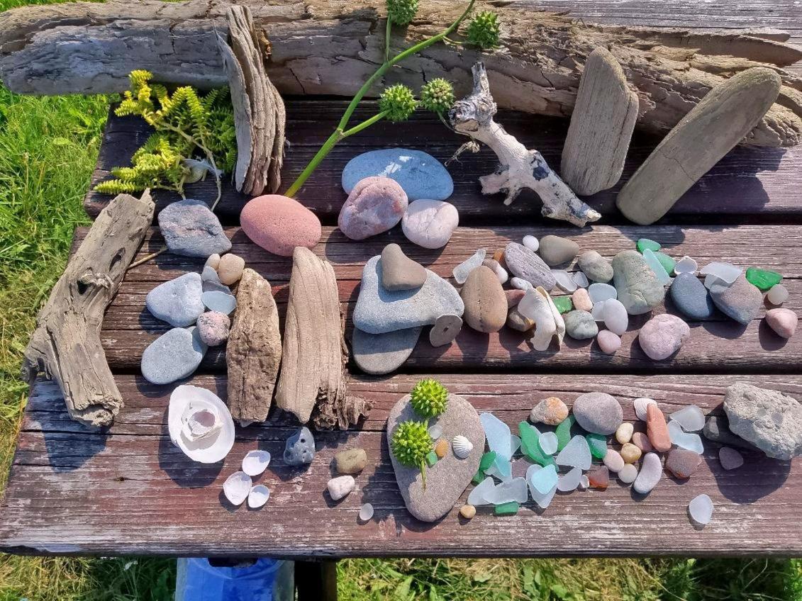 ホテル Nalu Glamp Ujście-Darłowskie エクステリア 写真